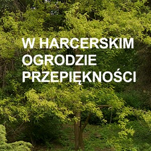W harcerskim Ogrodzie Przepiękności - książka wydana pod auspicjami Klubu Rotary Lublin Centrum